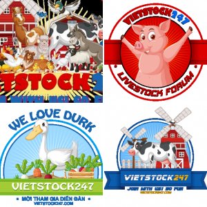 Banner - Logo VietStock247